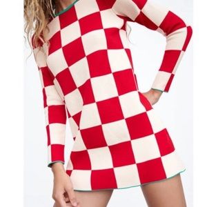 NWT Zara Checker Print Dress